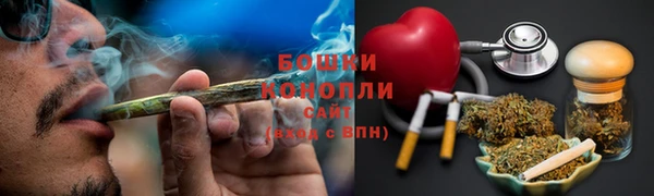 сатива Куйбышев