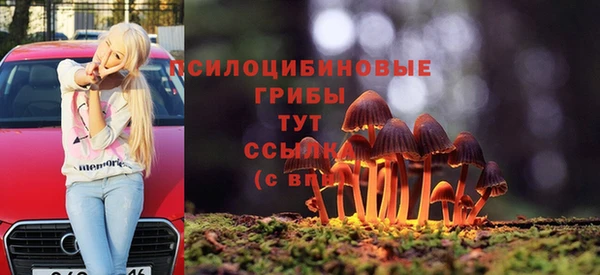 крисы Нижний Тагил
