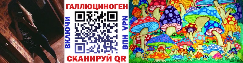 Галлюциногенные грибы Cubensis Электрогорск
