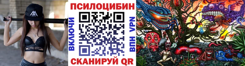 Псилоцибиновые грибы мухоморы  Электрогорск 