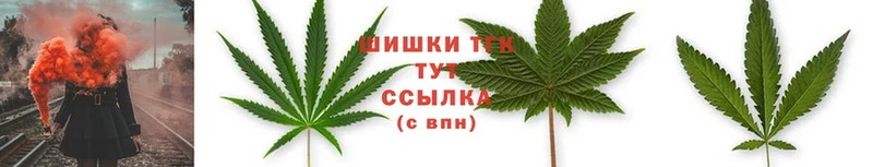 Каннабис THC 21%  Электрогорск 